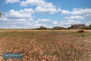 Field- click for photo gallery